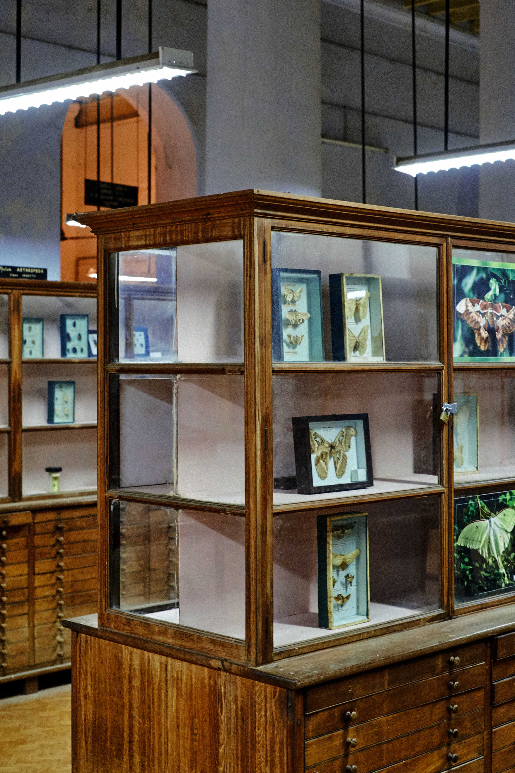 Government Art Museum Chennai